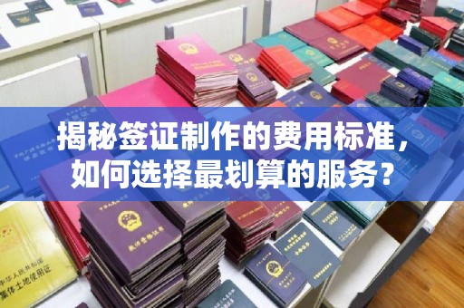 峰峰矿区揭秘签证制作的费用标准，如何选择最划算的服务？
